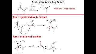 Lec9  Synthesis of Amines from Amides [upl. by Gerome]