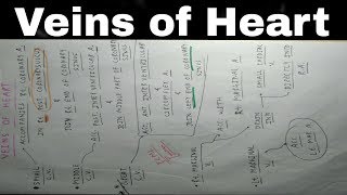 Heart Venous Drainage  Part 3  Small Middle and Great Cardiac Vein  TCML [upl. by Hovey]