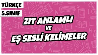 5 Sınıf Türkçe  Zıt Anlamlı Ve Eş Sesli Kelimeler  2022 [upl. by Lolita]