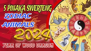 5 PINAKA SWERTENG ZODIAC ANIMALS IN 2024  LUCKIEST ZODIACS IN 2024 [upl. by Alexio]