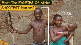 Discover the African Pygmies  Shortest humans in the world [upl. by Wan588]