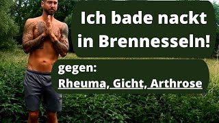 Rheuma Arthrose Gicht Nesselpeitschen hilft Erklärung und Anleitung [upl. by Claudio]