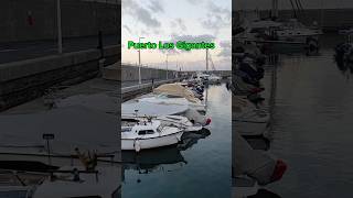 Puerto los gigantes early morning 🌅 tenerife canaryislands shortvideos losgigantes [upl. by Romano]