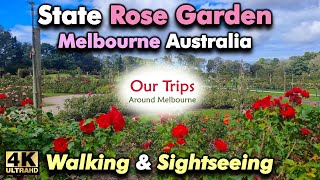 State Rose Garden Victoria Werribee Park 4K Walk Cinematic Travel Ambient Tour Film Australia 2023 [upl. by Petigny879]