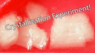 Crystallization Experiment [upl. by Ainesell]