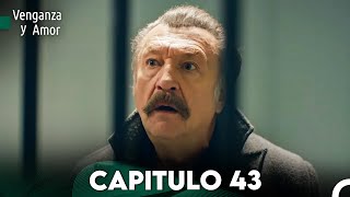 Venganza y Amor Capitulo 43  Doblado En Español [upl. by Ennoved387]