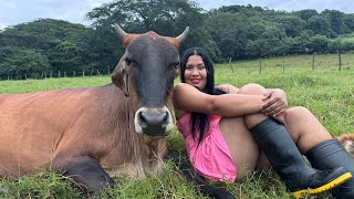 Mi RUTINA como CAMPESINA y GANADERA en el RANCHO [upl. by Jacobs]