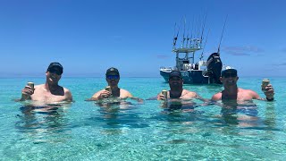 🏝️ Island life in The Whitsundays Great Barrier Reef [upl. by Noland604]