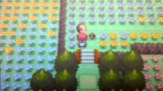 Pokemon Platinum Walkthrough Part 9Floaroma Town and Team Galactic [upl. by Nnyw]