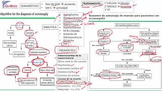 7 ACROMEGALIA [upl. by Iniffit]