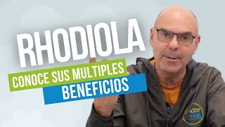 La RHODIOLA ROSEA un adaptógeno versátil con múltiples beneficios [upl. by Sup]