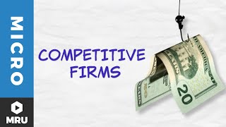 Introduction to the Competitive Firm [upl. by Nosecyrb]