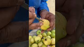 लाल gava guava streetfood guavafruit fruit funny food guavatree friut lemon food [upl. by Enalahs]