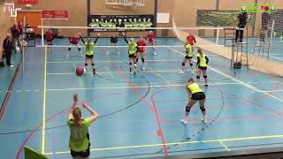 Volleybal Dames 2e Divisie A De PintelierVeracles D2  BBQ Time Tjoba D1 04022023 [upl. by Enneillij]