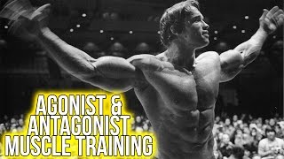 Agonist and Antagonist Muscle Training  Muscle Pairs  How To Get FASTER Workouts [upl. by Siegfried581]