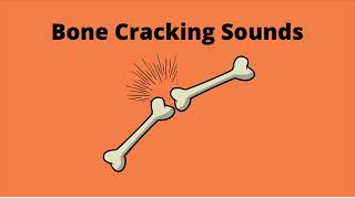 Bone Cracking Sounds 1 hour [upl. by Nathan816]