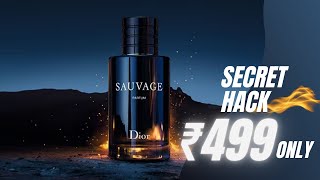 Escape the Ordinary Luxury Perfume Under 500 Revealed  Best Perfume For Men Under 500 [upl. by Eseekram]