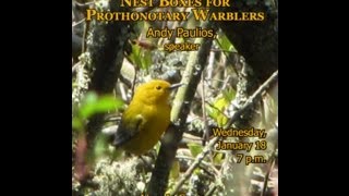 Managing Nest Boxes for Prothonotary Warblers by Andy Paulios [upl. by Eliott]