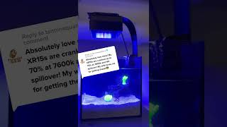 Enhance Your Aquarium Lighting with Our Magnetic Light Shade 2023 [upl. by Aicenet33]