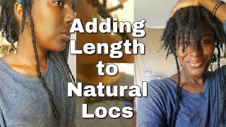 BUTT LENGTH GODDESS LOCS OVER NATURAL LOCS [upl. by Changaris]