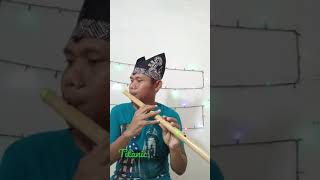 Titanic flute  my heart will go on [upl. by Mata]