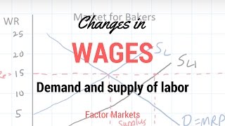 Labor Markets  Change in in Equilibrium Wage Rate and Level of Employment [upl. by Theressa]