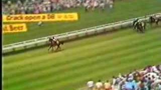 1987 Auckland Cup  KOTARE CHIEF [upl. by Htbazile886]