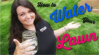 How to water your Fescue Lawn Lawn watering tips  PPLM [upl. by Iver]