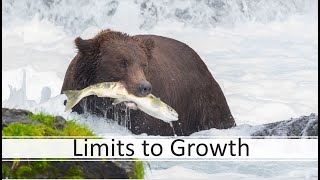 Limits to Growth [upl. by Eolc921]