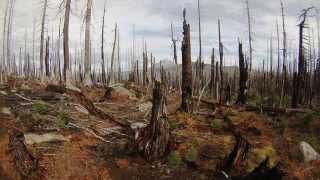 PCT Trail  Pamelia Lake to Santiam Pass [upl. by Anilecram544]