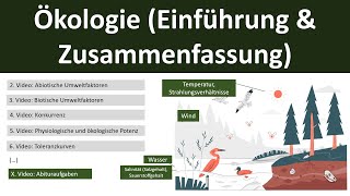 Ökologie EinführungZusammenfassung  Abitur Biologie Ökologie Oberstufe  110 [upl. by Waynant]