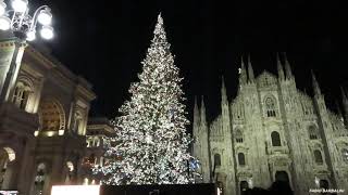 LAlbero di Natale 2021 in Piazza Duomo a Milano [upl. by Persons643]