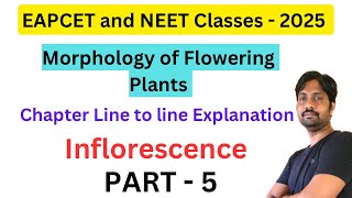 Morphology of Flowering Plants  Inflorescence  EAPCET and NEET Classes for 2025 [upl. by Edelson]