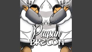 Paysan Breton Remix [upl. by Nahsyar]