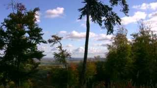 Unterwegs im Harz Von Ilsenburg zum Froschfelsen wandern und die Vielfalt der Natur entdecken [upl. by Anilatac]