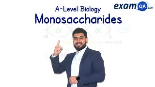 Monosaccharides  ALevel Biology [upl. by Plume]