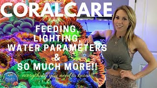 Coral Care  Feeding Lighting Reef Parameters amp More  Mindis Coral Reef [upl. by Adnek]