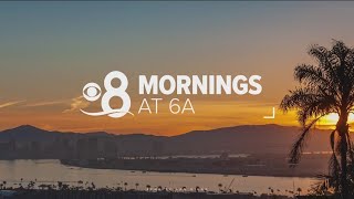 Top stories for San Diego on March 29 at 6AM on CBS 8 [upl. by Alston682]