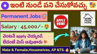 Permanent WFH Jobs🎯చక్కగా ఇంటి నుండి వర్క్ చెయ్యండి🥳Salary  45000🤗AP amp TS any One Can Apply👍 [upl. by Ledah642]