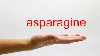 How to Pronounce asparagine  American English [upl. by Hough]