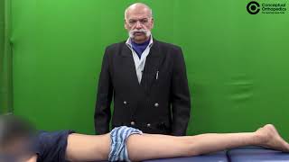 Premium Video Examination of a Case of S I Joints by ProfDrAnil Dhal [upl. by Eninotna]