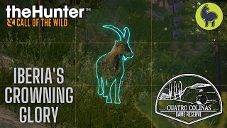 Iberias Crowning Glory Cuatro Colinas  theHunter Call of the Wild PS5 4K [upl. by Tullius]