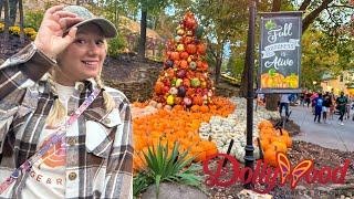 Dollywood Fall Food Crowds Great Pumpkin Luminights Lightning Rod Rollback amp More [upl. by Ambler]