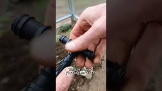 How to add dripline into your polytunnel [upl. by Jonis804]