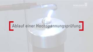 Ablauf einer Hochspannungsprüfung ab 15 kV aufwärts  SCHLEICH [upl. by Strohben]