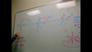 Sharpless Asymmetrical Dihydroxylation [upl. by Anselm907]