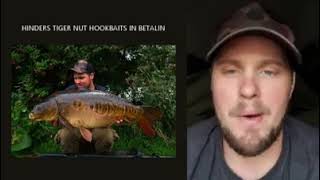 Tiger Nut Hookbaits for Carp Fishing [upl. by Pantia]