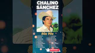 Chalino Sánchez  María de la Luz  Éxitos legendarios de la música shorts chalinosanchez [upl. by Ellinehc]