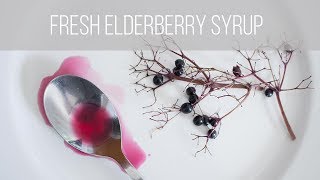 How To Make Elderberry Syrup With Fresh Berries [upl. by Tewell]