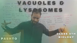 Vacuoles and Lysosomes In pashto  Very Easy  Bya ba darna Ne herege  Class 9th biology [upl. by Leandra]